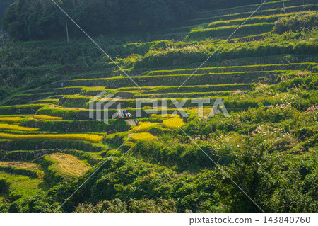 大分縣田田秋天的風景 大分縣田田秋天的風景 143840760