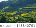 大分縣田田秋天的風景 143840761