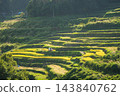 大分縣田田秋天的風景 143840762
