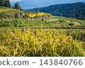 大分縣田田秋天的風景 143840766