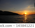 Single seagull flying silhouette over Adriatic Sea at golden sunset with rocky islands 143841221