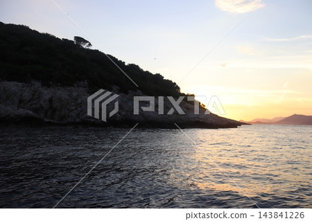 Rocky forested coastline at sunset with seagulls flying over Adriatic Sea Rocky forested coastline at sunset with seagulls flying over Adriatic Sea 143841226