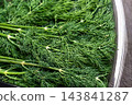 Close up of fresh green dill sprigs in clear plastic packaging tray 143841287
