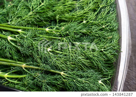 Close up of fresh green dill sprigs in clear plastic packaging tray Close up of fresh green dill sprigs in clear plastic packaging tray 143841287