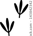 鳥腳輪廓圖 143842342