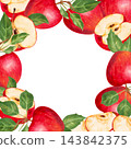 Square frame with apple, half, slices and leaves. Template with space for text. Hand-drawn watercolor illustration of fruit. Image suitable for postcard, packaging, menus, labels and autumn themes. 143842375