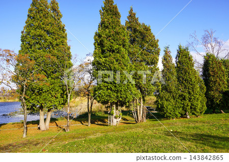 北村中央公園(位於鯽魚廣場的角落) 北村中央公園(位於鯽魚廣場的角落) 143842865