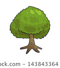 Illustration of Green Tree 143843364