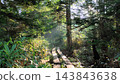 A road surrounded by trees 143843638
