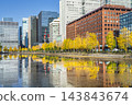 Autumn Tokyo cityscape: Ginkgo trees and skyscrapers along Hibiya Street [Chiyoda Ward, Tokyo] 143843674