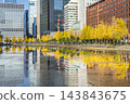 Autumn Tokyo cityscape: Ginkgo trees and skyscrapers along Hibiya Street [Chiyoda Ward, Tokyo] 143843675
