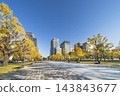 Autumnal Tokyo cityscape: Ginkgo trees lining Gyoko-dori Avenue and the skyscrapers of Marunouchi [Chiyoda Ward, Tokyo] 143843677