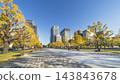Autumnal Tokyo cityscape: Ginkgo trees lining Gyoko-dori Avenue and the skyscrapers of Marunouchi [Chiyoda Ward, Tokyo] 143843678