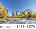 Autumnal Tokyo cityscape: Ginkgo trees lining Gyoko-dori Avenue and the skyscrapers of Marunouchi [Chiyoda Ward, Tokyo] 143843679