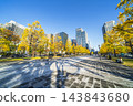 Autumnal Tokyo cityscape: Ginkgo trees lining Gyoko-dori Avenue and the skyscrapers of Marunouchi [Chiyoda Ward, Tokyo] 143843680