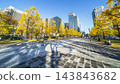 Autumnal Tokyo cityscape: Ginkgo trees lining Gyoko-dori Avenue and the skyscrapers of Marunouchi [Chiyoda Ward, Tokyo] 143843682