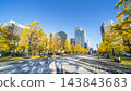 Autumnal Tokyo cityscape: Ginkgo trees lining Gyoko-dori Avenue and the skyscrapers of Marunouchi [Chiyoda Ward, Tokyo] 143843683
