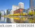 Autumn Tokyo cityscape: Ginkgo trees and skyscrapers along Hibiya Street [Chiyoda Ward, Tokyo] 143843684