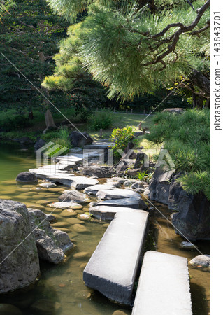 清澄庭園:美麗的漫步式庭園,有池塘、岩石、岩石岸邊和松樹。 清澄庭園:美麗的漫步式庭園,有池塘、岩石、岩石岸邊和松樹。 143843701