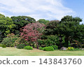 清澄庭園初秋：樹葉變紅，石燈籠點綴其間。 143843760