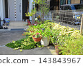 A large house was demolished and the resulting vacant lot was divided into two sections. 143843967