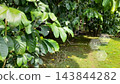 Green plants on bokeh blur background with biochemistry structure 143844282