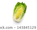 Cross-section of a cabbage cut lengthwise 143845129