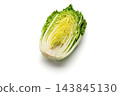Cross-section of a cabbage cut lengthwise 143845130