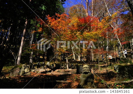 十一月箱根長安寺和五百羅漢的秋葉 十一月箱根長安寺和五百羅漢的秋葉 143845161