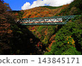 Hakone Tozan Railway running through autumn foliage - December, Hakone 134 Hayakawa Bridge (Deyama Railway Bridge) Autumn leaves and mountain train 143845171