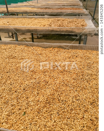 Coffee beans Coffee beans 143845206