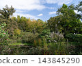 向島百花園的秋景：池塘、蘆葦草與藍天 143845290