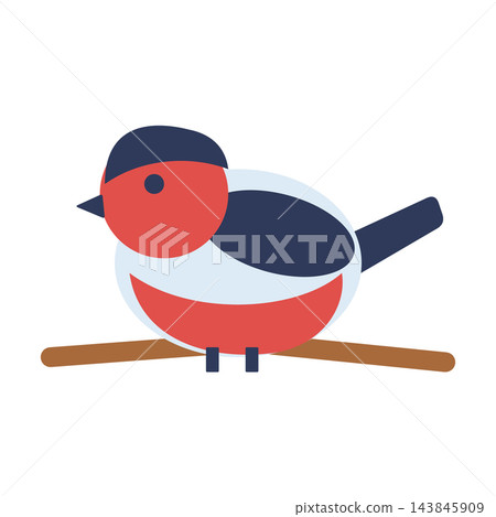 Bullfinch bird with red breast perched on branch, winter bird clipart isolated on white Bullfinch bird with red breast perched on branch, winter bird clipart isolated on white 143845909