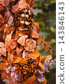 Cozy Autumn Decor with Pumpkin Pillow and Plush 143846143