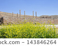 Persepolis, near Shiraz, Iran, the capital of the Achaemenid Persian Empire, platform and columns of the Apadana (audience hall). 143846264