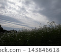 流雲 143846618