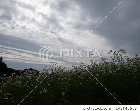 流雲 143846618