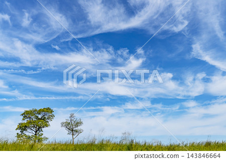 秋日的藍天、白雲和草地 秋日的藍天、白雲和草地 143846664