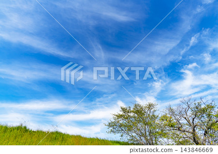 秋日的藍天、白雲和草地 秋日的藍天、白雲和草地 143846669