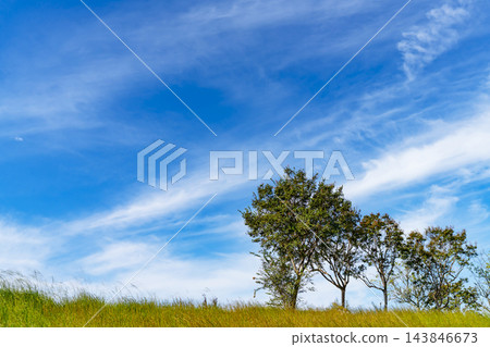 秋日的藍天、白雲和草地 秋日的藍天、白雲和草地 143846673