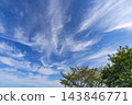 秋日的藍天、白雲和樹木 143846771