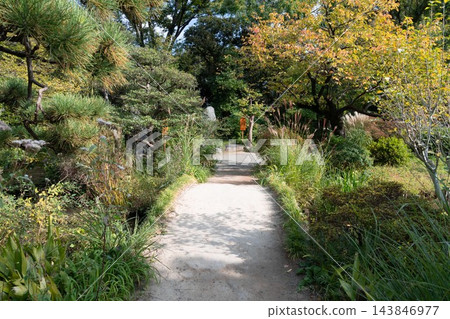 在通往島百花園的步道上,陽光透過樹木和秋天的草地灑下斑駁的光影。 在通往島百花園的步道上,陽光透過樹木和秋天的草地灑下斑駁的光影。 143846977