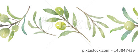 Olive line art drawn in watercolor Olive line art drawn in watercolor 143847439