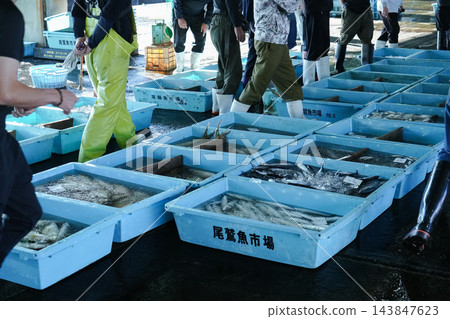 三重縣尾瀨市尾瀨港的漁獲物卸貨 三重縣尾瀨市尾瀨港的漁獲物卸貨 143847623