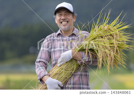 一位微笑的老稻農手捧一捆稻稈。 一位微笑的老稻農手捧一捆稻稈。 143848061