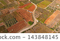 Starogradsko Polje UNESCO landscape on Hvar Island Croatia 143848145