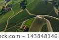 Carinthia Vineyards Green Hills Aerial View Austria 143848146