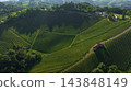 Carinthia Vineyards Green Hills Aerial View Austria 143848149