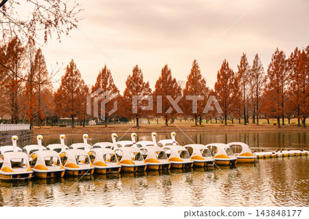 濱水公園秋色正濃,金色的林蔭大道兩旁綠樹成蔭,水杉樹鬱鬱蔥蔥。 濱水公園秋色正濃,金色的林蔭大道兩旁綠樹成蔭,水杉樹鬱鬱蔥蔥。 143848177
