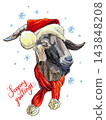 Funny goat with Christmas hat vector hand drawn illustration 143848208